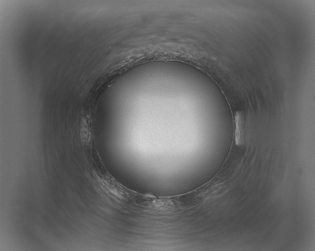 X0000075351491200609151557