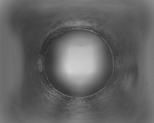 X0000075351493200609151557