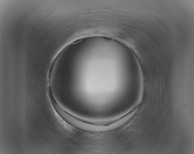 X0000075351524200609151558