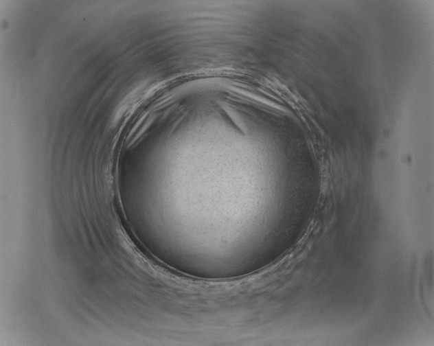 X0000075350002200609251048
