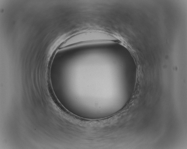 X0000075350007200609251048
