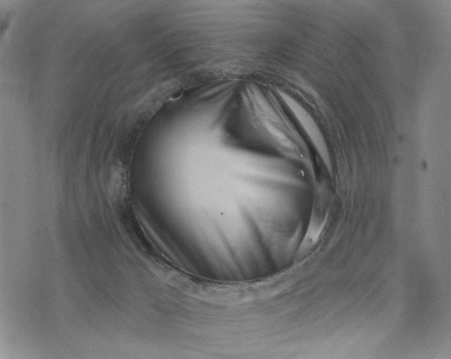 X0000075350029200609251048