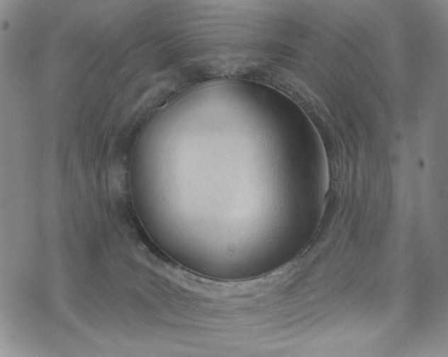 X0000075350035200609251048