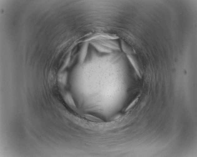 X0000075350043200609251048
