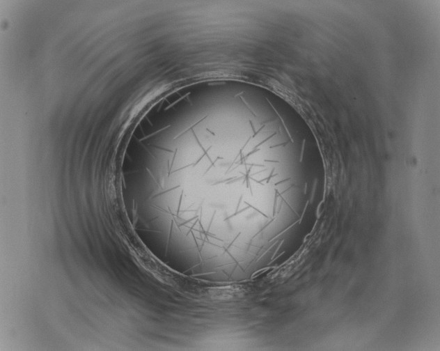 X0000075350050200609251047