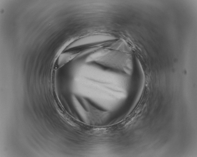 X0000075350052200609251047