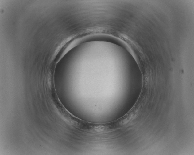 X0000075350064200609251047