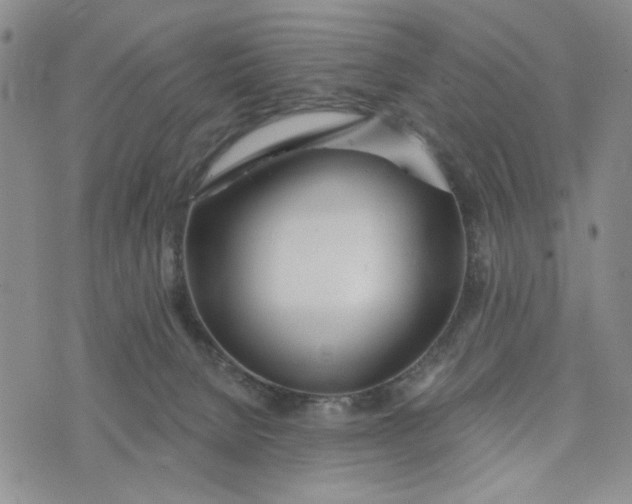 X0000075350080200609251047