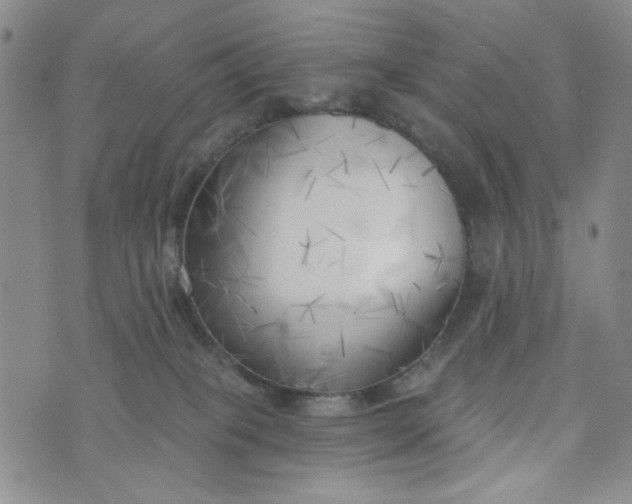 X0000075350085200609251047