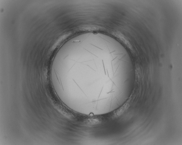 X0000075350159200609251045