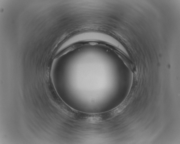 X0000075350168200609251046