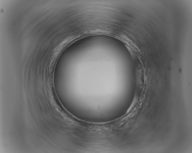 X0000075350193200609251045