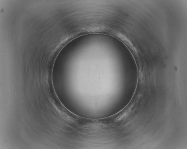 X0000075350201200609251045