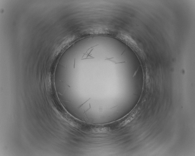 X0000075350202200609251045