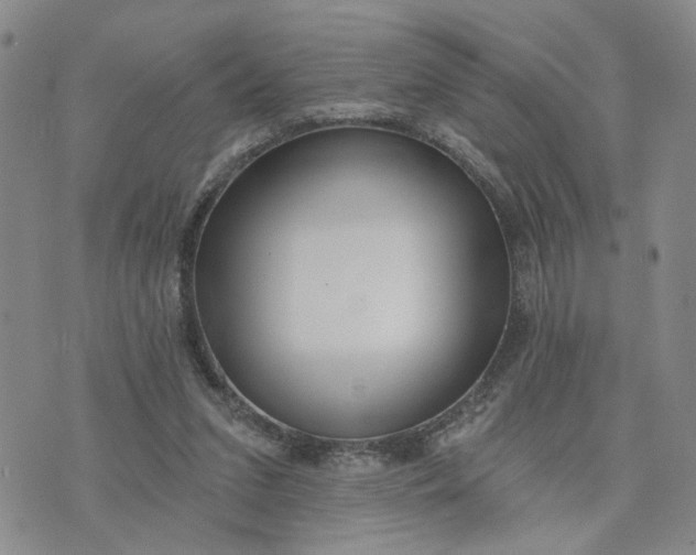 X0000075350207200609251045