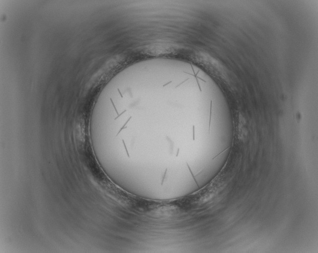 X0000075350210200609251045