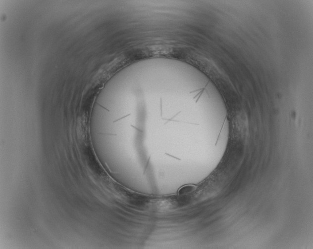 X0000075350218200609251045