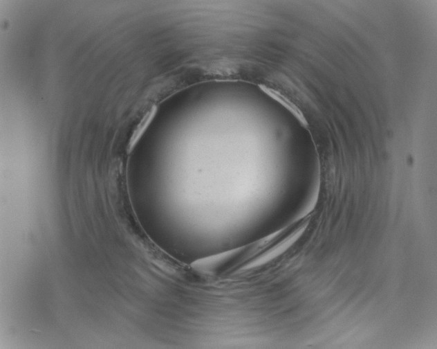 X0000075350229200609251045