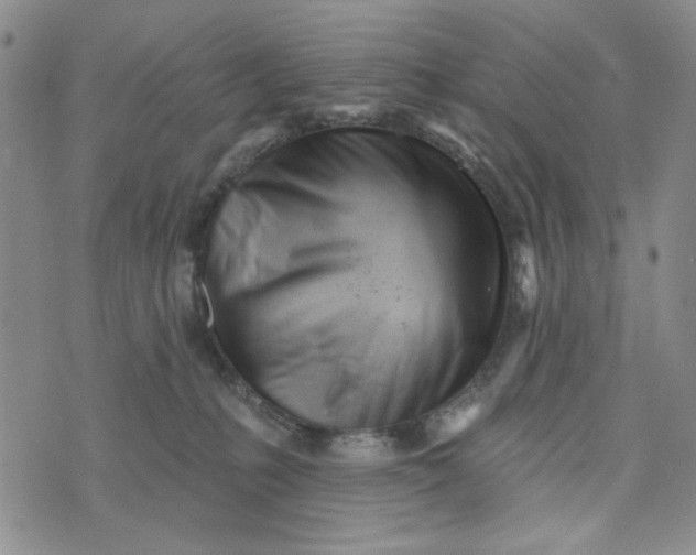 X0000075350231200609251045