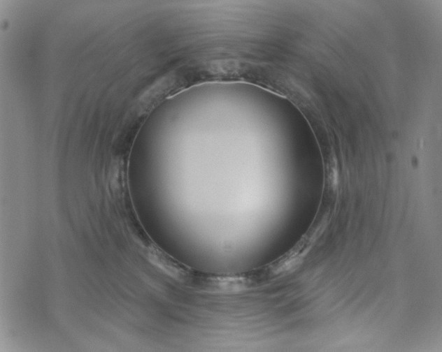 X0000075350233200609251045