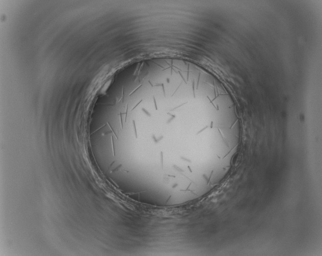 X0000075350241200609251044