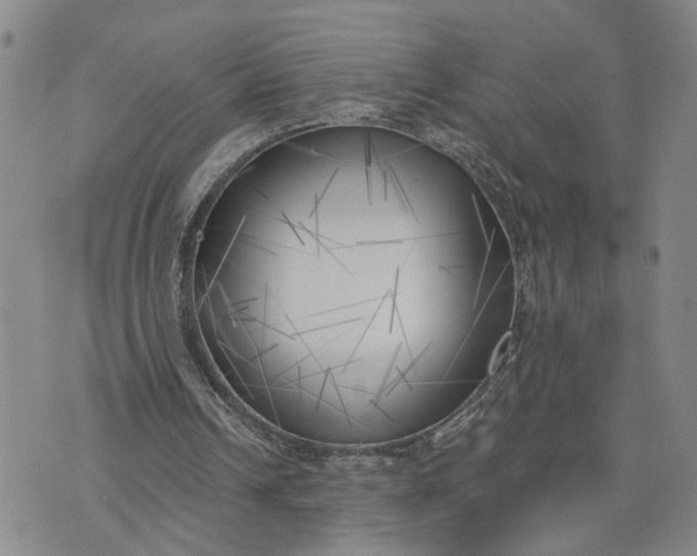 X0000075350242200609251044