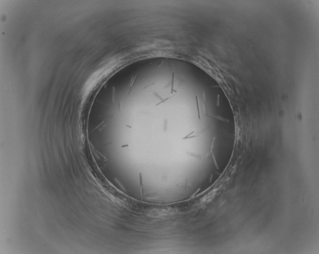 X0000075350245200609251044