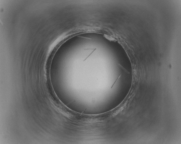 X0000075350246200609251044