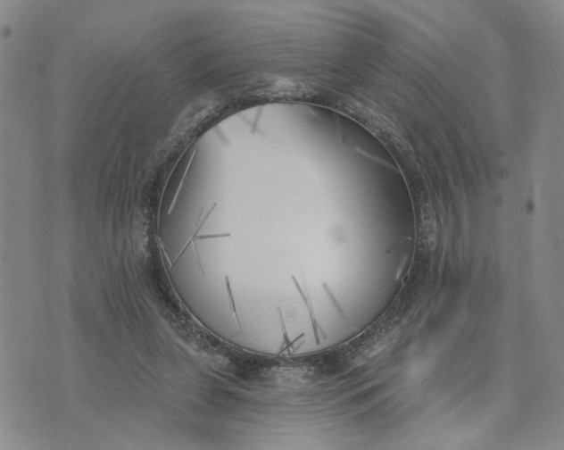 X0000075350255200609251044