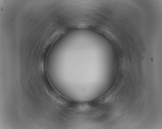 X0000075350262200609251044