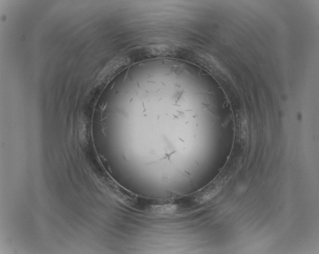 X0000075350266200609251044