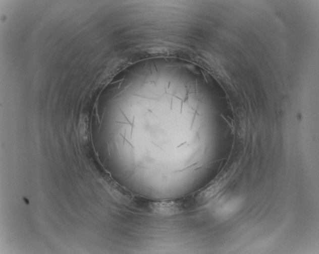 X0000075350273200609251044