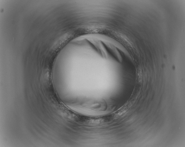 X0000075350314200609251043