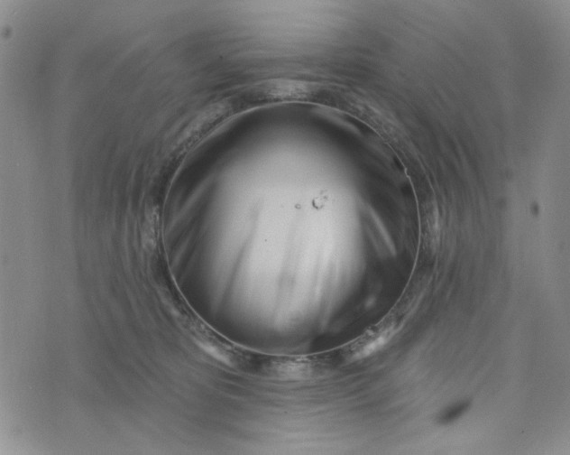 X0000075350325200609251043