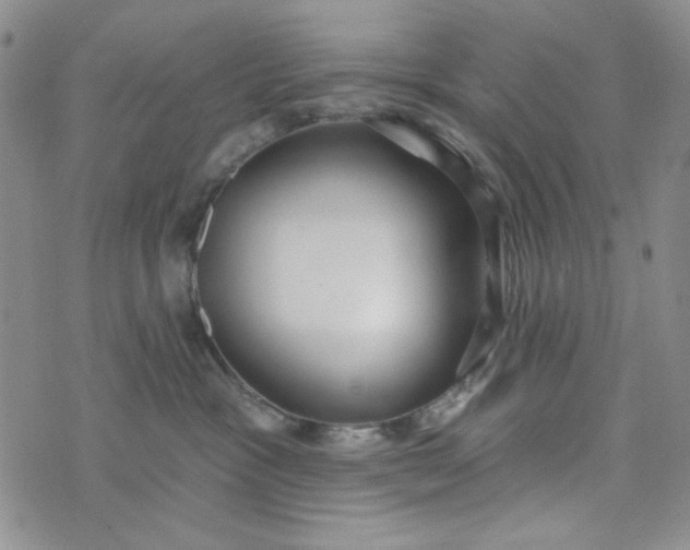X0000075350333200609251043