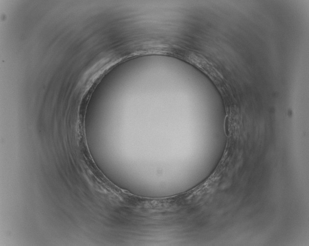 X0000075350338200609251042