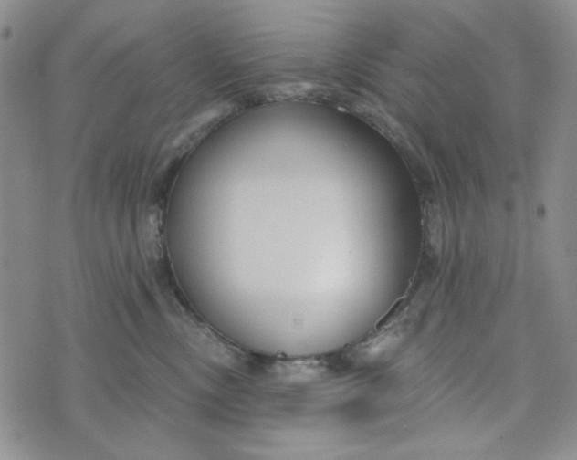 X0000075350378200609251043