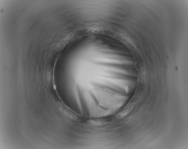 X0000075350417200609251041