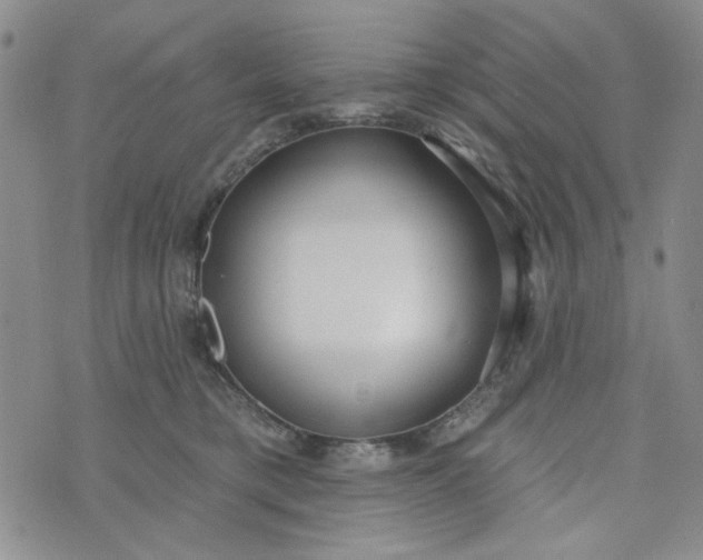 X0000075350421200609251041