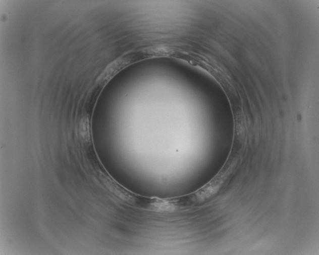 X0000075350425200609251041