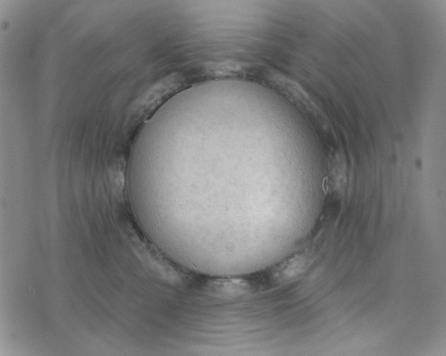 X0000075350427200609251041