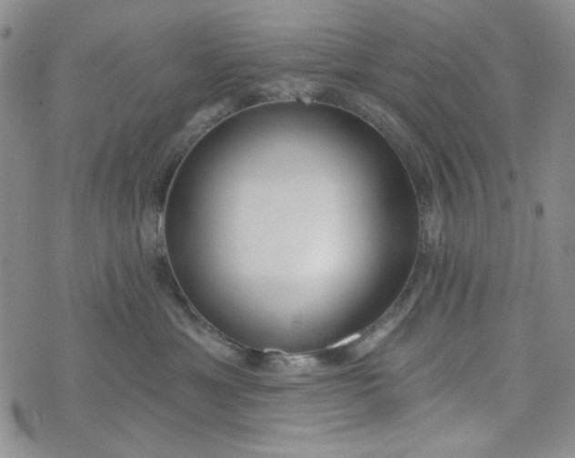 X0000075350429200609251041