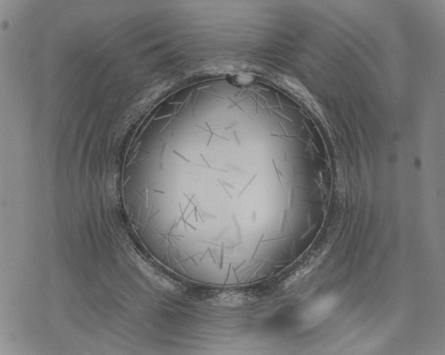 X0000075350441200609251041