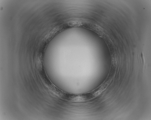 X0000075350460200609251041