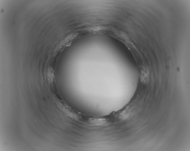 X0000075350476200609251041