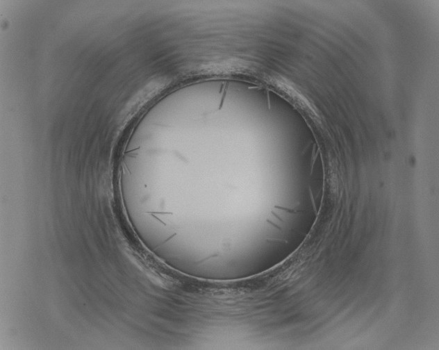 X0000075350486200609251040