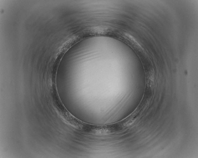 X0000075350500200609251040