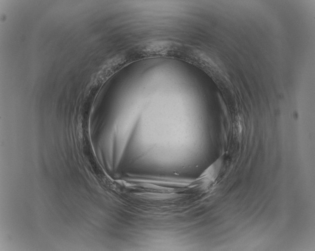 X0000075350504200609251040