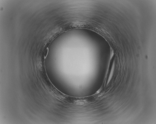 X0000075350508200609251040