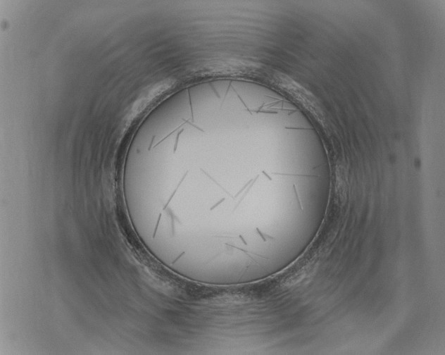 X0000075350578200609251039